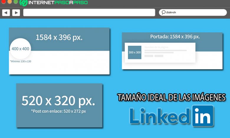 Dimens Es Da Imagem Do Linkedin Qual Deve Ser O Tamanho Dos