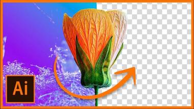 How to erase or remove background from an image in Adobe Illustrator CC